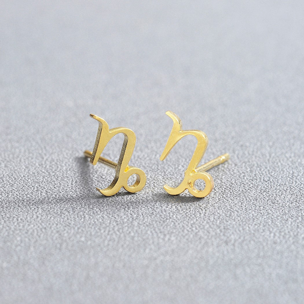 Stainless Steel Zodiac Earrings