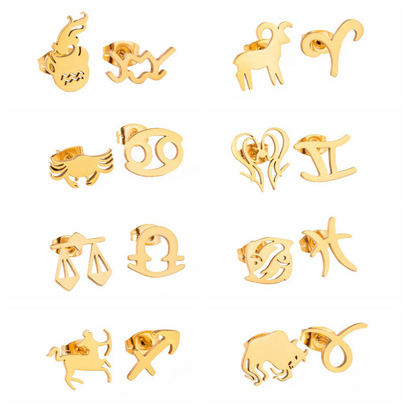 Stainless Steel Zodiac Earrings